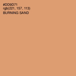 #DD9D71 - Burning Sand Color Image